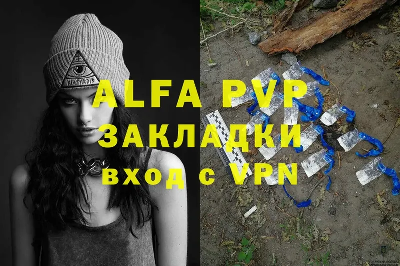 Alfa_PVP СК КРИС Вытегра